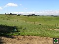 thn_NZ leden-unor 2006 117.jpg
